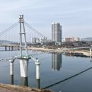 보러 이미지
