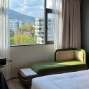 빈스바이크 빈스애견호텔 | 치앙마이 님만해민 신상 호텔 ‘The Clover Hotel Chiang Mai’ 내돈내산 후기 | 치앙마이대학교 근처...