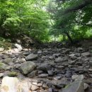 소백산 자락길 이미지