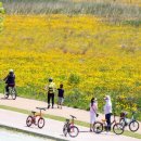 낙동강체육공원 자전거대여소 이미지