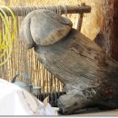 용포주유소 이미지