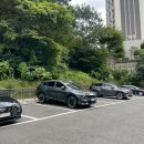 피터펫 애견카페 부산북구점 | 만덕 카페[카프리초] 마운틴뷰 반려견 뛰어놀기 좋은 부산 애견동반 대형카페