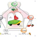 감 효능과 부작용 이야기 이미지