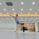 토슈즈 결국 바꾸다 (블락 헤리티지 -&gt; 그리쉬코 마야)