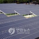 세기태양광발전소 이미지