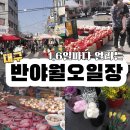 백운마트 건너 버스정류장 | 대구 동구 가볼 만한 곳 1,6일마다 열리는 반야월 오일장 투어