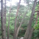 여주-1084 | 치악산 종주 (윗성남-남대봉-비로봉-구룡사)