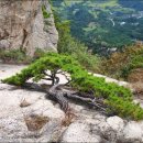 황매산군립공원 이미지