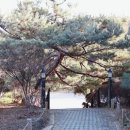 카페작은숲