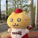 심방 | 성인 심방중격결손(ASD) 시술 후기(2)- 외래