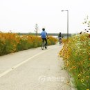 금강변길 Daum카페