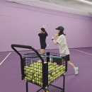 🏸수원에서 테니스 배우기 딱 좋은 곳! 써니테니스 후기🌞