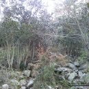 탑산사주차장 이미지