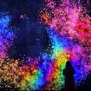 아오미가든 | 🌟 도쿄 팀랩 플래닛 (teamLab Planets TOKYO) 입장권 안내 🌟