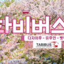 타비투어