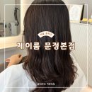 문정동 미용실 제이룸 문정 본점 머리 맛집 헤어클리닉 후기