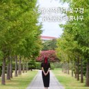 UN조각공원 간판석 | 부산 배롱나무 명소 다 가봤는데 유엔기념공원 의외로 괜찮았어요