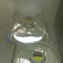 웅촌가마솥돼지국밥 이미지