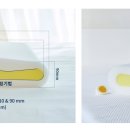 디자인에그 머니투데이