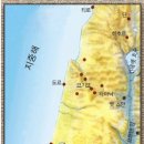 가지많은나무