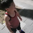 오조산공원 바닥분수 이미지