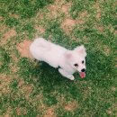 코나펜션 이미지