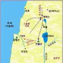 아셀 이미지