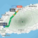 맨도롱하우스 민박 | 제주도 서쪽 여행 코스 또가고 싶은 제주