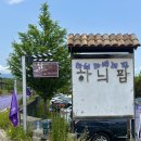230619 강원도 고성 가볼만한곳 하늬라벤더팜 방문 후기
