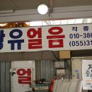 장유얼음