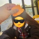 제주 서귀포시 망고하이 카페 망고주스 연돈근처