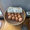 감천당 | 부산 사하구 콩국수 맛집 감천할매칼국수 내돈내산 후기 추억을 찾아갔지만 조금은 달라진 맛