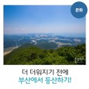 하단동188 | 더 더워지기 전에 부산에서 등산하기!