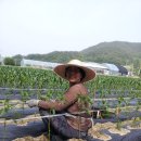 둔내농장 이미지