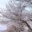 회현1길 이미지