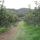 대봉농장 이미지