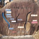 다사유황오리 이미지