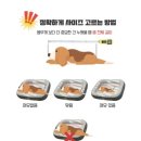 펫 마마의 집 | 펫앤마마 강아지 방석 내돈내산 대형견 고양이도 사용 가능해요