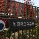 ㈜늘푸른바다 이미지