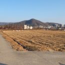 우림양봉산업 이미지