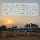 미사한강5호공원 | 🌳 [서울 근교 강아지 산책 명소] 하남 미사한강공원 산책 후기