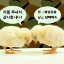 쳐다봐 이미지