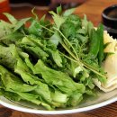 버시랑 - 순천시 | 버시랑