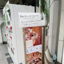 20240630 2일차 도쿄여행 - 우에노공원, 아키하바라, 신주쿠, 시부야스카이, 몬자야키, 편의점털기 등