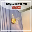 꽃마리유치원 | 광주 수완지구 장덕동 자연스러운 속눈썹 연장 &lt;라라썸&gt; 시술후기, 속눈썹 잘하는 곳