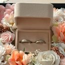 풍년농약식물병원 | 3월 ㅣ 웨딩 촬영을 준비해보자