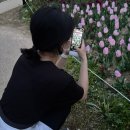 한일상가슈퍼 이미지