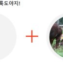 영미트팜 이미지