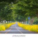 우산공원길 이미지