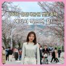 인천대공원 내 정문 호수정원 맞은편 | 2026 인천대공원 벚꽃축제 일정 총정리｜벚꽃 명소 BEST5 + 주차·개화시기까지